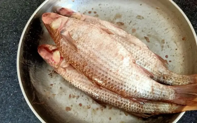 أماكن توفر مصل التسمم بالمجان.. إذا شعرت بتعب بعد الفسيخ والرنجة